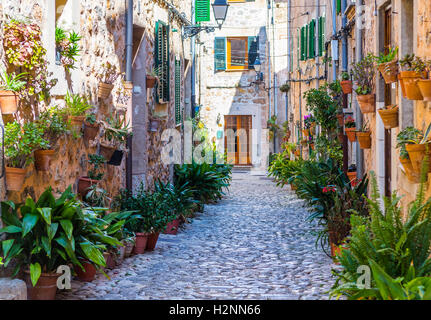 Impianto Street di Valldemossa, Maiorca Foto Stock