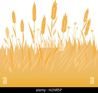 Campo di frumento, orzo o cereali di segala. Avena, orecchie di grano, steli sullo sfondo del campo. Illustrazione vettoriale Illustrazione Vettoriale