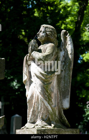 Angelo, statua, Alter Friedhof cimitero, Bonn, Renania, Renania settentrionale-Vestfalia Foto Stock