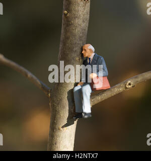 Nonno, statuetta, seduto su un ramo di albero Foto Stock