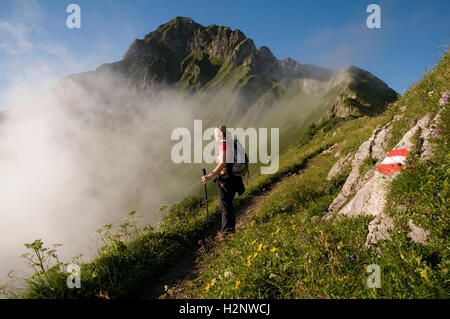 Escursionista su Mt. Eisenerzer Reichenstein, Eisenerz, Stiria, Austria, Europa Foto Stock