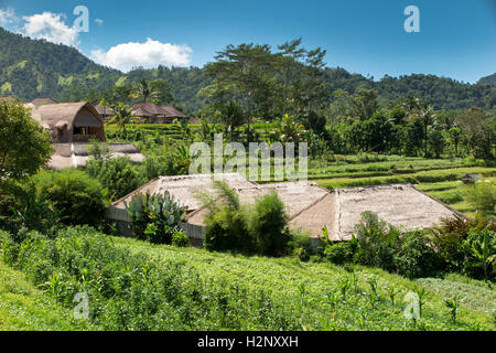 Indonesia, Bali, Sidemen, Banjar Tabola, vista attraverso i campi di riso da Saman Vaya hotel Foto Stock