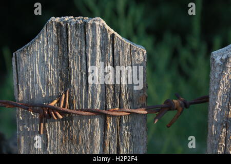 Rusty filo spinato su un palo di legno Foto Stock