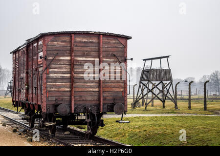 Carrello del treno a birkenau campo di concentramento in Polonia Foto Stock