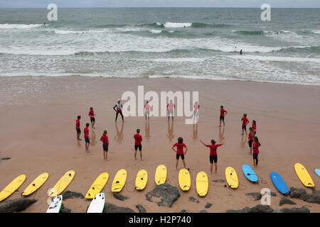 Surfers di formazione presso la Côte des Basques Beach a Biarritz, Paesi Baschi francesi, Francia. Foto Stock