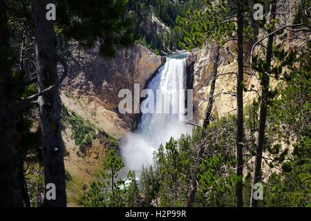 Le cascate Inferiori di Yellowstone River preso dal North Rim, il Grand Canyon di Yellowstone, il Parco Nazionale di Yellowstone Foto Stock