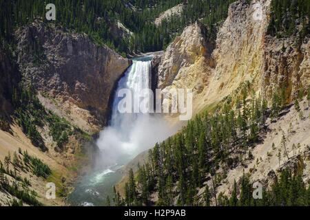 Le cascate Inferiori di Yellowstone River preso dal North Rim, il Grand Canyon di Yellowstone, il Parco Nazionale di Yellowstone Foto Stock