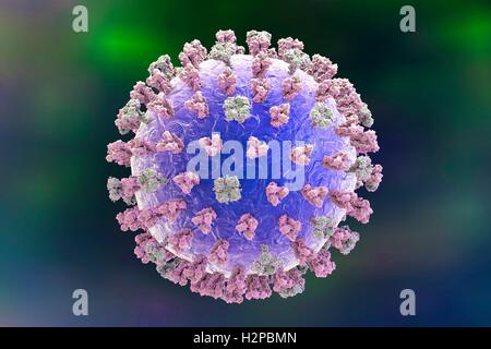 Il virus dell'influenza. Computer che mostra la superficie dei picchi di glicoproteina emoagglutinina (viola) e neuraminidasi (verde). Foto Stock