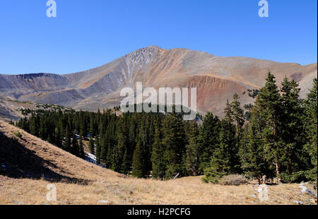 Montare Cronin in Colorado come si vede dalla Baldwin Gulch Jeep road vicino al Monte Antero Foto Stock