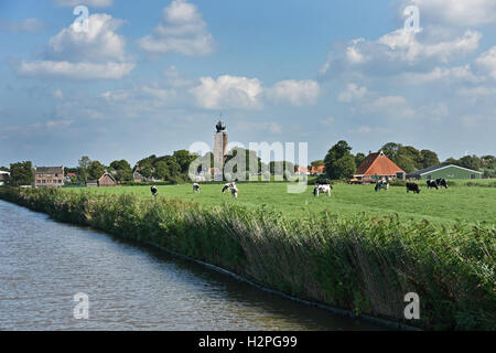 Villaggio Deinun erba verde Farm paesaggio agricolo Friesland Fryslan Paesi Bassi Foto Stock