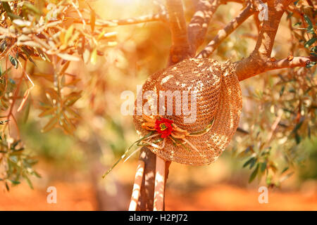Donna con cappello di paglia sull'olivo nei pressi di utensili da giardinaggio in condizioni di intensa luce del tramonto, autunno stagione di raccolto Foto Stock