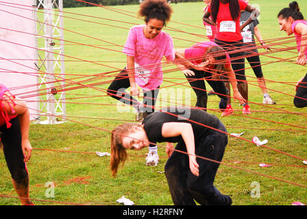 Londra, Regno Unito. 1 Ottobre, 2016. Piuttosto fangosa Cancer research 5k carità corri a Londra Credito: Philip Robins/Alamy Live News Foto Stock