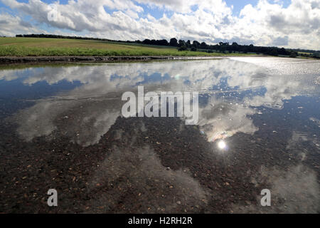 Epsom Downs, Surrey, Regno Unito. 1 ottobre 2016. Cumulus nubi su Epsom Downs racecourse si riflette in una grande pozza dopo un pesante con doccia a pioggia. Credito: Julia Gavin UK/Alamy Live News Foto Stock