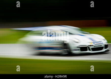 Fawkham, Longfield, UK. 1 Ottobre, 2016. Porsche racing driver Shamus Jennings e G-Cat Racing rigidi durante le qualifiche per la Porsche Carrera Cup Gran Bretagna a Brands Hatch circuito GP (foto di gergo Toth / Alamy Live News) Foto Stock