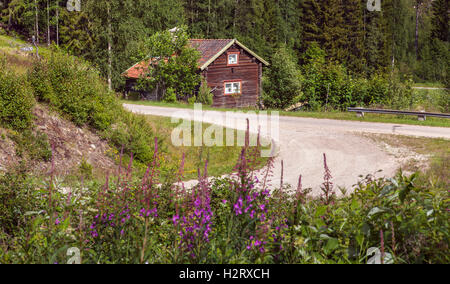 HARJEDALEN, Svezia sulla luglio 07, 2016. Vista del paesaggio rurale fino a Nord, strada di ghiaia e cabina in legno. Fiori. Editoriale. Foto Stock