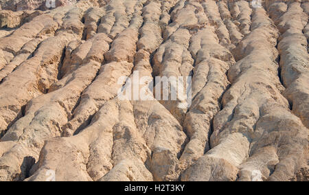 Formazioni rocciose erose le dune di sabbia, il Parco Nazionale della Valle della Morte, CALIFORNIA, STATI UNITI D'AMERICA Foto Stock