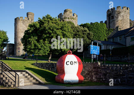 Tre di Conwy Castle imponenti torri medievali, Conwy quayside, Wales, Regno Unito Foto Stock