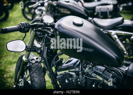 Personalizzati di Harley Davidson Sportster moto. Vintage filtro applicato Foto Stock