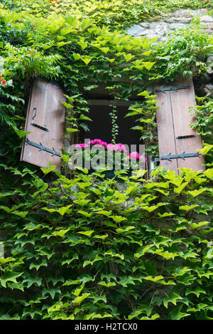 Ivy che circonda una finestra con persiane fioriera, medievale villaggio storico di Yvoire, Alta Savoia, Francia Foto Stock