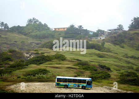 Barbados costa atlantica barclays parco spiaggia dei laghi di governo blu bus si fermava sulla collina coach single decker bus locale Travel Foto Stock