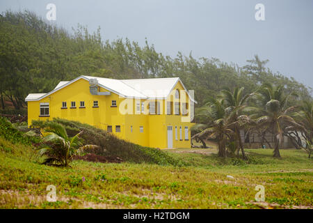 Barbados costa atlantica barclays parco spiaggia dei laghi di giallo casa grande cane gli escursionisti a piedi sabbia colore brillante color passeggiando sa Foto Stock