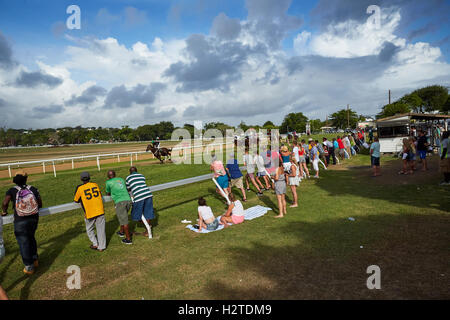 Barbados Bridgetown Garrison Savannah Racetrack racecourse corso horse racing venue sei furlong via erba turf club spectato Foto Stock