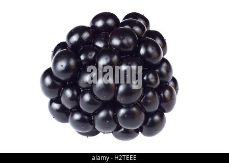 Fresche e mature blackberry isolati su sfondo bianco Foto Stock