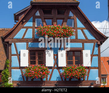 Tradizionale casa in legno e muratura in Eguisheim, Alsazia, Francia Foto Stock