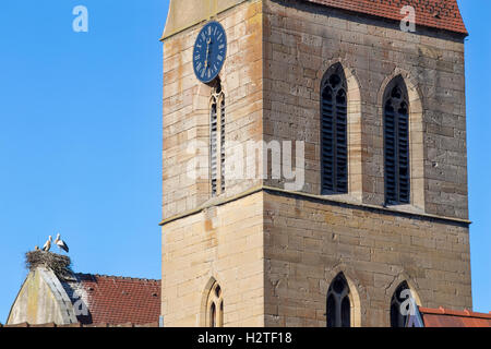 Cicogne bianche nidi su un tetto della chiesa nel villaggio di Eguisheim, Alsazia, Francia Foto Stock