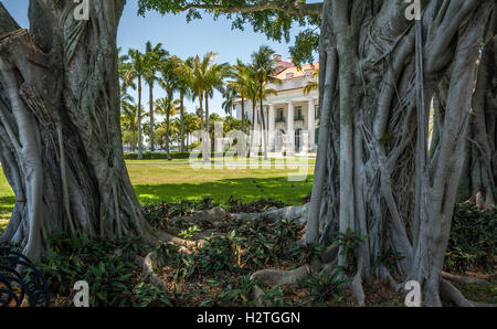 Flagler Museum, ex Palm Beach, Florida mansion di olio del magnate Henry Morrison Flagler, come si vede tra i vecchi alberi Banyan. Foto Stock