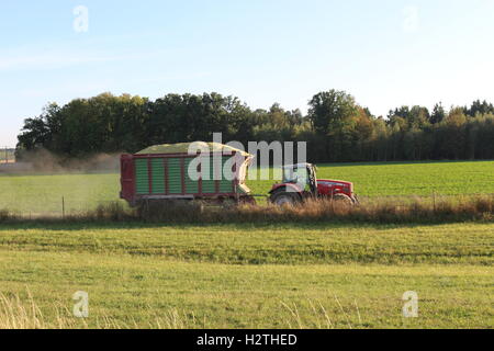 Trattore a movimento rapido con un rimorchio pieno di mais appena raccolto. Visto dall'autostrada durante un ingorgo stradale. Baviera, Germania meridionale, Europa. Foto Stock