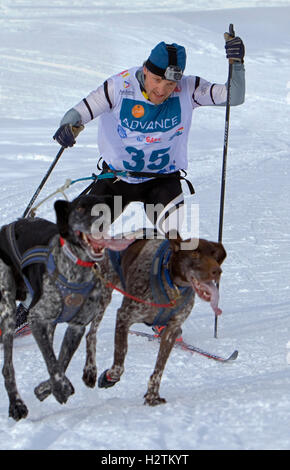 Pirena.Skijorer. Sled Dog Race nei Pirenei passando attraverso la Spagna, Andorra e la Francia. Baqueira Beret. Provincia di Lleida. Catalon Foto Stock