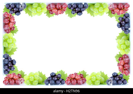 Uve rosso verde blu frutta organica frutta fresca autumn fall isolato su uno sfondo bianco copyspace telaio spazio copia Foto Stock