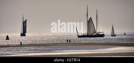 Terschelling ebb marea flusso spiaggia mare costa Paesi Bassi Foto Stock