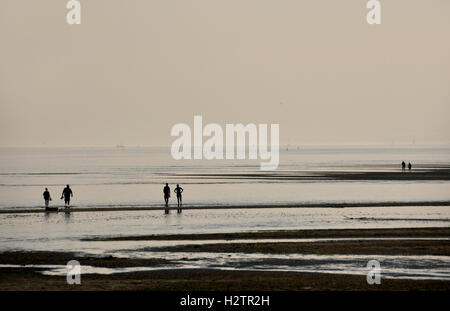 Terschelling ebb marea flusso spiaggia mare costa Paesi Bassi Foto Stock