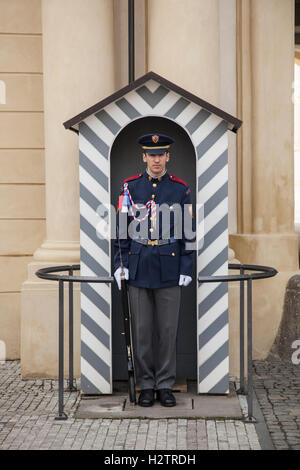 Soldato ceca permanente per l'attenzione in una garitta al Castello di Praga. Foto Stock