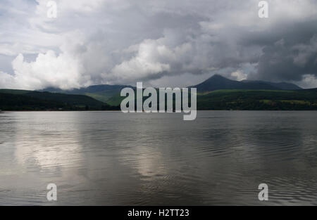 Capra è sceso al di là di barche nel porto di Brodick, Isle of Arran, N. Ayrshire, in Scozia Foto Stock