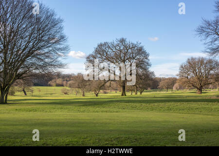 Vista della parte meridionale di Coventry's War Memorial Park durante una passeggiata su una soleggiata giornata invernale, Coventry, West Midlands, England, Regno Unito Foto Stock