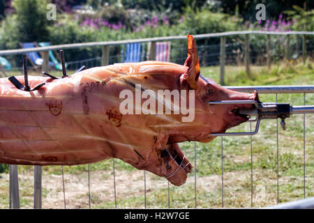 La torrefazione di maiale allo spiedo, Jimmy's Farm music festival, Ipswich, Suffolk, Regno Unito Foto Stock