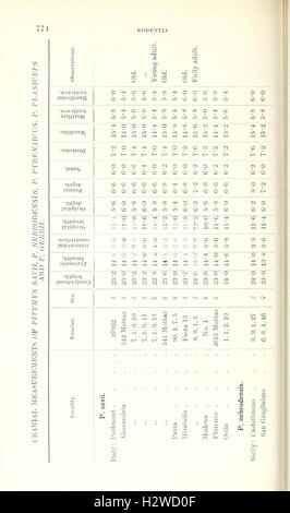 Catalogo dei mammiferi dell Europa occidentale (Europa esclusiva di Russia) nella collezione del British Museum (pagina 774) BHL84 Foto Stock