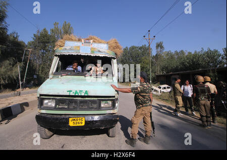 Srinagar, India. 01 ott 2016. Un camionista è stato arrestato dalle forze mentre stava lottando con loro di andare avanti a Chek-e-Kawoosa in Kashmir centrale del quartiere Buddgam, in indiano Kashmir controllata. Pandit è stato colpito dalle pallottole durante gli scontri tra le forze di sicurezza e i manifestanti. © Umer Asif/Pacific Press/Alamy Live News Foto Stock