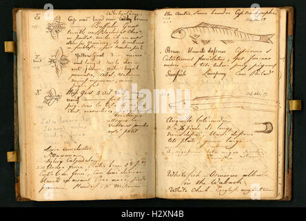 Notebook tenuto da Rafinesque su un viaggio da Philadelphia a Kentucky, 1818 (pagine 110 e 111) BHL459 Foto Stock