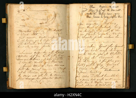 Notebook tenuto da Rafinesque su un viaggio da Philadelphia a Kentucky, 1818 (pagine 112 e 113) BHL459 Foto Stock