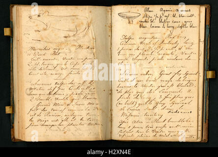 Notebook tenuto da Rafinesque su un viaggio da Philadelphia a Kentucky, 1818 (pagine 112 e 113) BHL459 Foto Stock