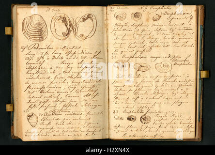 Notebook tenuto da Rafinesque su un viaggio da Philadelphia a Kentucky, 1818 (pagine 138 e 139) BHL459 Foto Stock