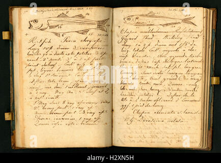 Notebook tenuto da Rafinesque su un viaggio da Philadelphia a Kentucky, 1818 (pagine 54 e 55) BHL459 Foto Stock