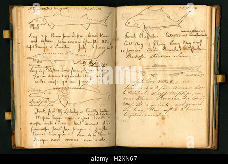 Notebook tenuto da Rafinesque su un viaggio da Philadelphia a Kentucky, 1818 (pagine 92 e 93) BHL459 Foto Stock