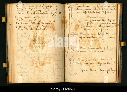 Notebook tenuto da Rafinesque su un viaggio da Philadelphia a Kentucky, 1818 (pagine 96 e 97) BHL459 Foto Stock