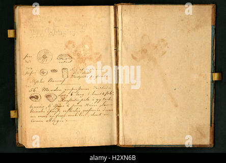 Notebook tenuto da Rafinesque su un viaggio da Philadelphia a Kentucky, 1818 (pagina 148) BHL459 Foto Stock