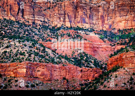 Scogliere con red canyon e alberi Foto Stock